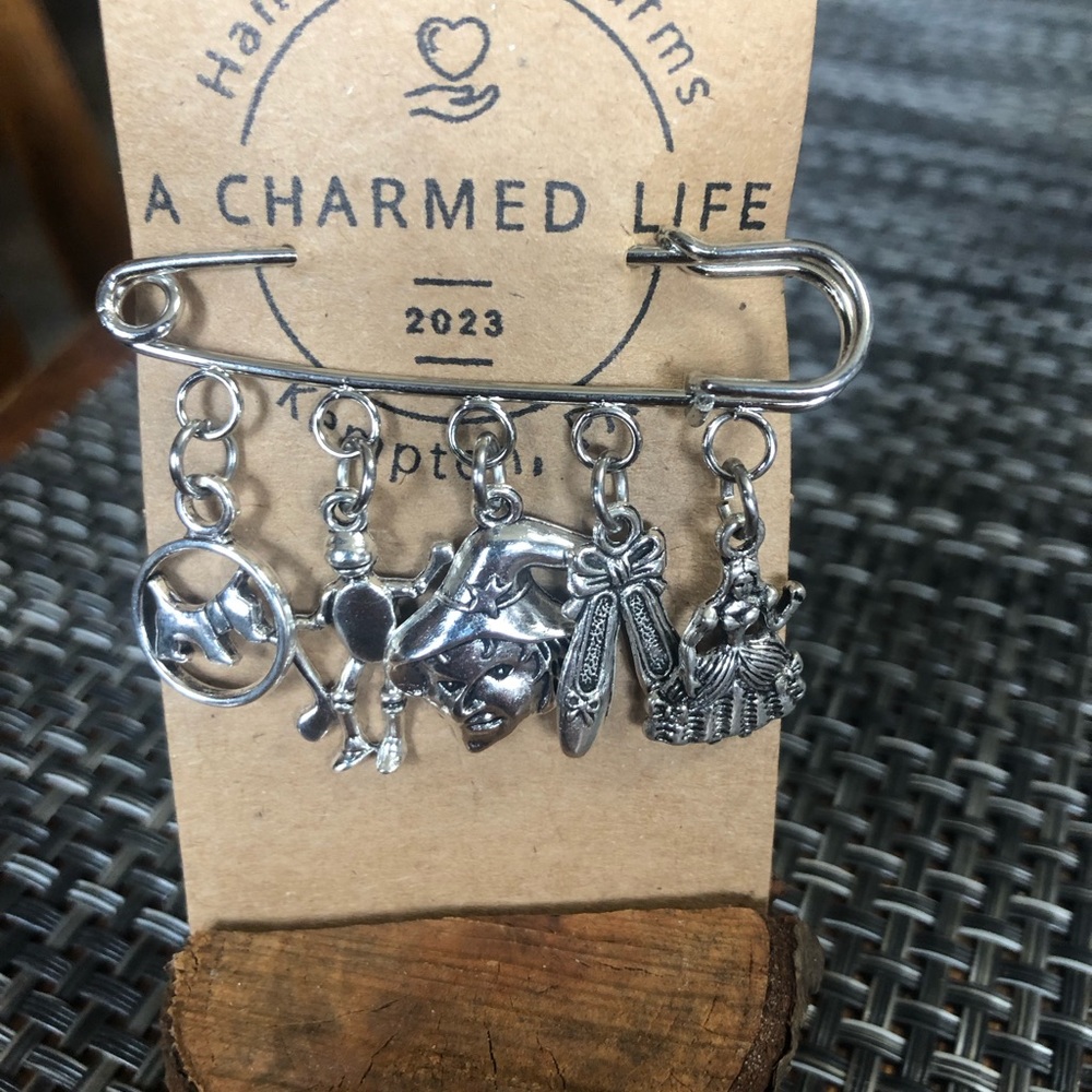 NWT, Handmade by A Charmed Life. Wizard of Oz favorites on a Silver Pin